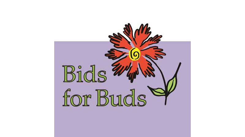 Auction-banner-bids-for-buds-r3