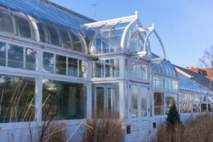 Oak Park Conservatory Winter 2020
