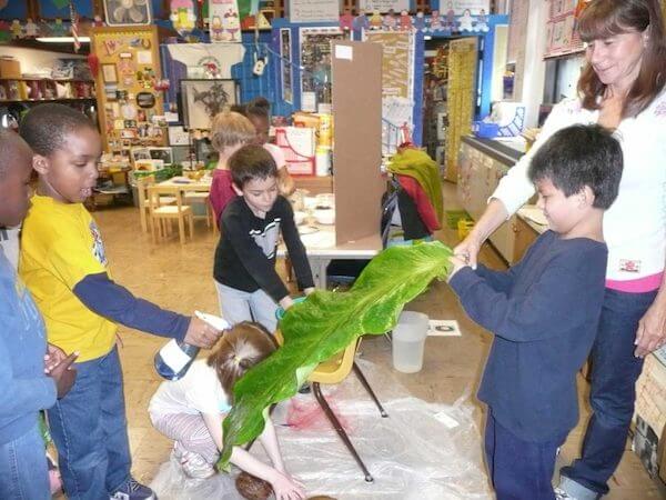 Students spray water on an anthurium leaf and watch it drip off the tip.