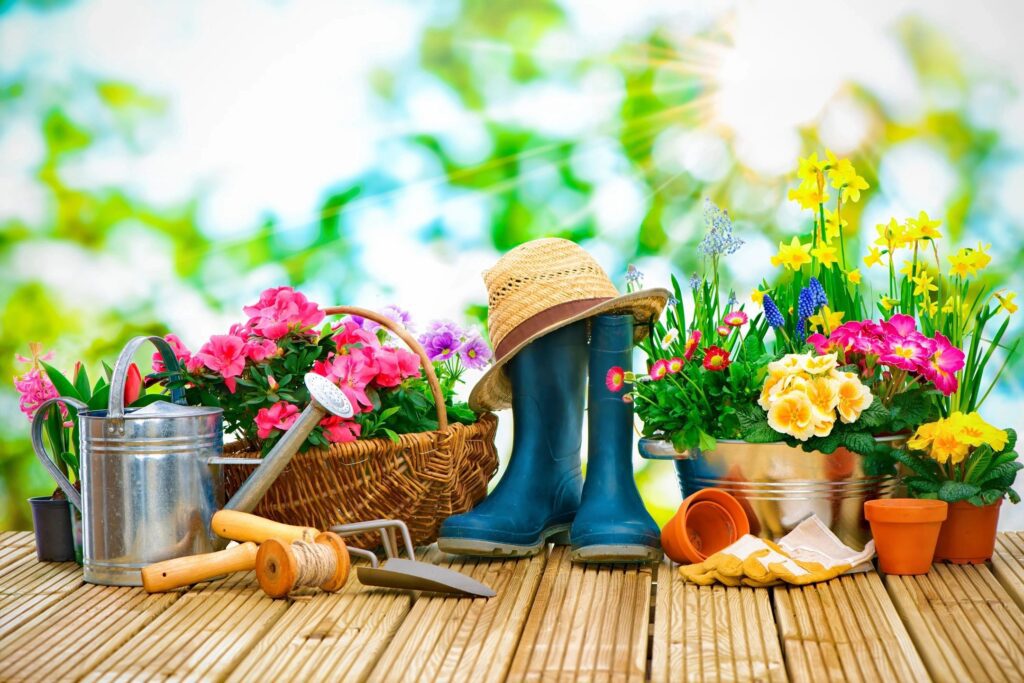 Gardening tools and pots with flowers on a wooden floor.
